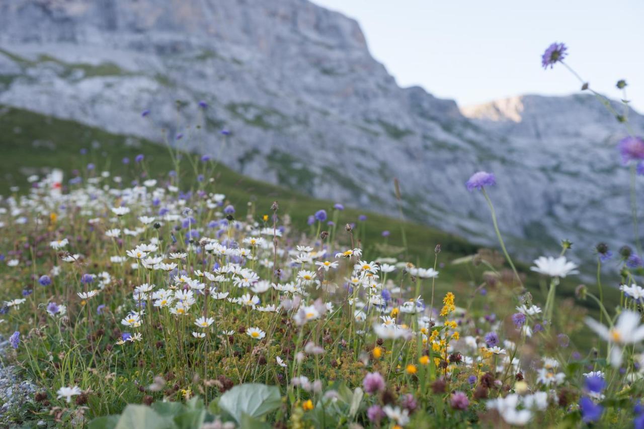 Hotel Berghaus Sulzfluh - Alpenhütte St. Antönien